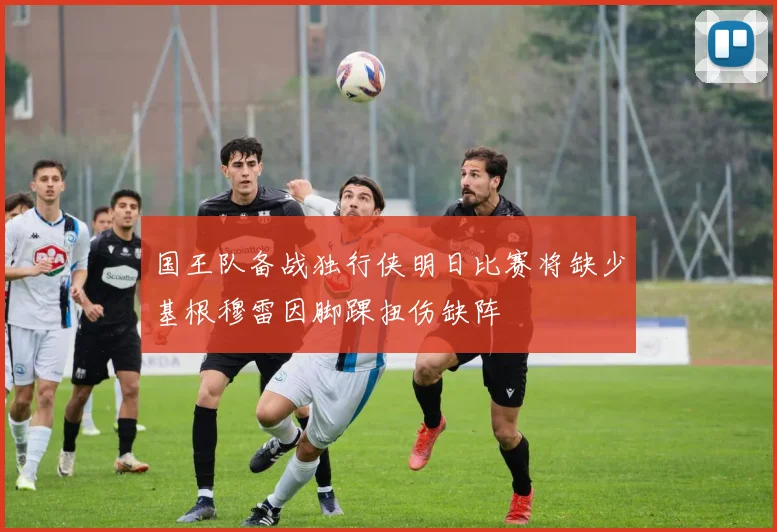 国王队备战独行侠明日比赛将缺少基根穆雷因脚踝扭伤缺阵