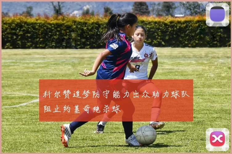 科尔赞追梦防守能力出众助力球队阻止约基奇绝杀球