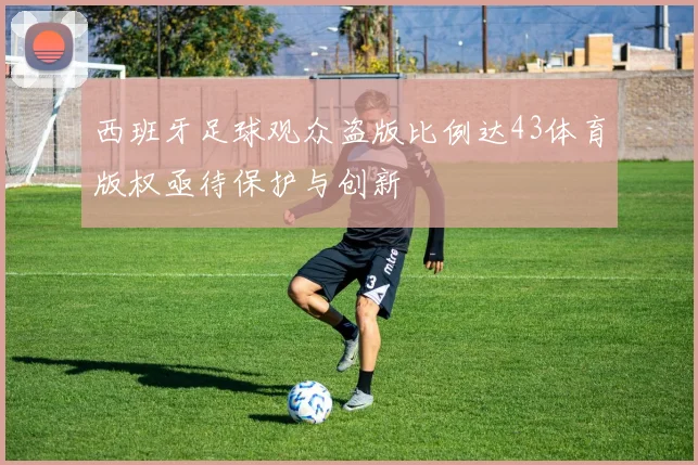 西班牙足球观众盗版比例达43体育版权亟待保护与创新