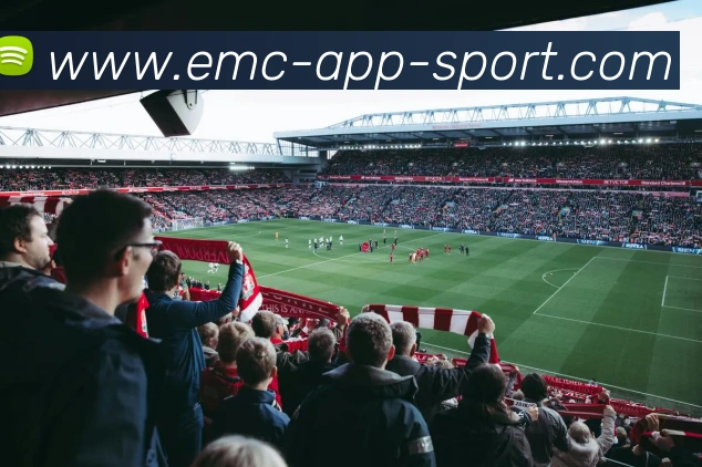 易倍体育APP 封面图